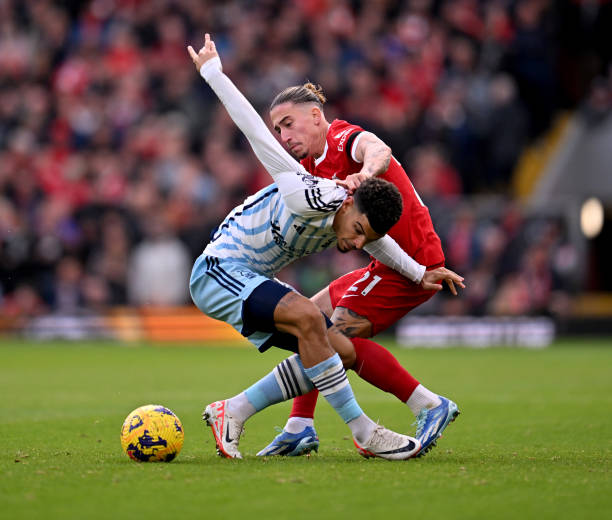 了显著提升 了显著提升