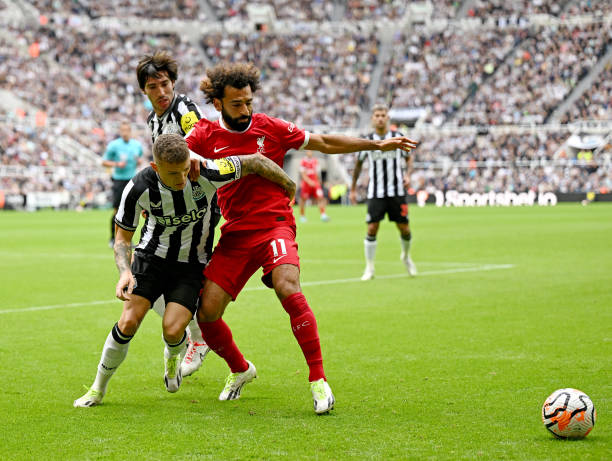 赢基础上 赢基础上